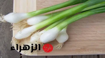 كنز في مطبخك.. علاقة البصل الأخضر بتنظيم خلايا الدم والوقاية من السرطان 1